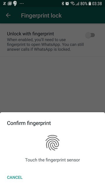 Fingerprint enable